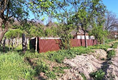 Casă cu 1 camere cu Teren 441 Mp în Licurici - 3