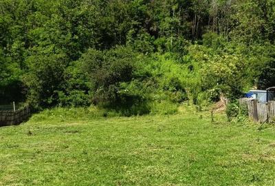 Spațiu comercial, în Valea Siliștii - 4