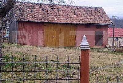 Casă cu 4 camere cu Teren 5450 Mp în Central - 15