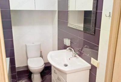 Apartament cu o camera Buziasului Apartament cu o camera Buziasului - 2