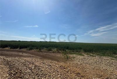 Teren de 1200 mp, în Nojorid - 3