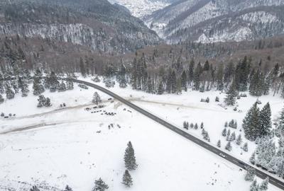 Teren intravilan, constructii S+P+2E+M, Drumul Poienii - 18