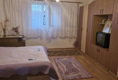 Casă cu 2 camere în Păușa - 8