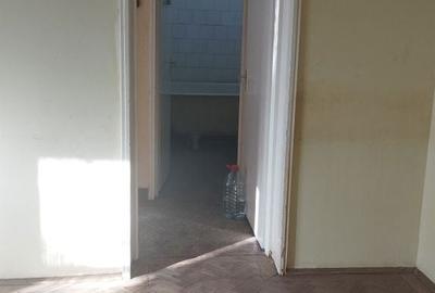 Apartament cu 2 camere semidecomandat în Brazda lui Novac