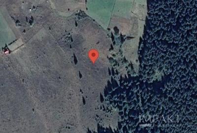 Teren intravilan 9000 mp, la 5 minute de lacul Belis! - 2