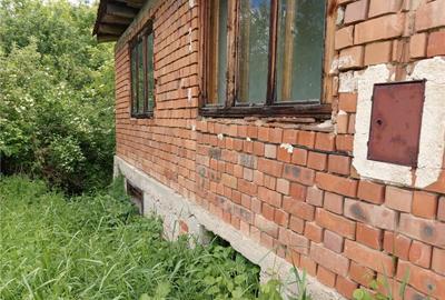 Borlovenii Noi, Teren Drept, 16000mp, la Limita Localitatii - 8