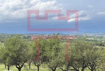 Teren cu PUZ Feleacu 2.800mp parcelabil/ 4 utilități asfalt panorama - 1