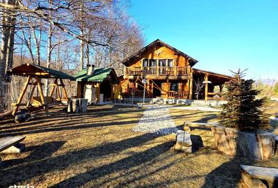 Casă cu 4 camere cu Teren 950 Mp în Dumbrăvești - 16