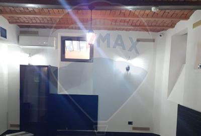 Casă cu 15 camere cu Teren 520 Mp în Mitropolie - 10