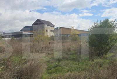 Teren intravilan 2.000 mp, zona Selgros - 4