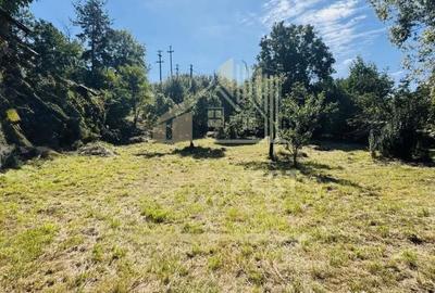 Teren de 3234 mp, în Lerești - 17