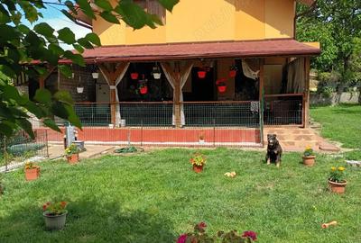 Casă cu 5 camere cu Teren 836 Mp în Sânandrei - 9