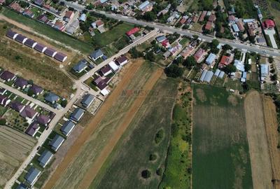 Teren Constructii Intravilan 4750mp SABARENI - 0% COMISION - 5