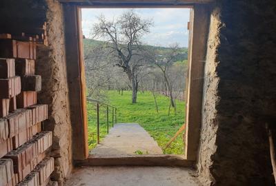 Casă cu 3 camere în Rod - 2