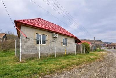 Film&3D! Proprietate cu potential:casa, atelier,domeniu de 2.700 mp:Sanmarghita, - 8