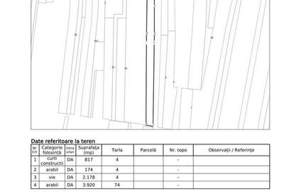 Spațiu comercial, în Valea Călugărească - 7