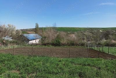 Teren de 518 mp, în Hoisești - 2