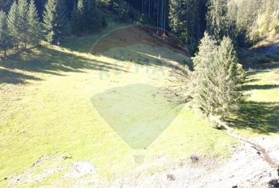 Teren 9555mp, din care 6120m.intravilan Vatra Dornei. - 6