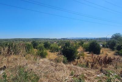 Teren intravilan 14.168 mp – pozitie excelenta la intrarea in Braila - 4