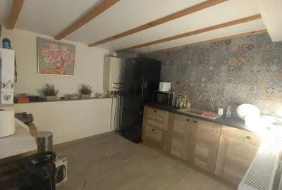 Casa 3 camere de inchiriat Palazu Mare - 9