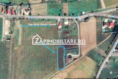 Sanisor - Teren intravilan 1812mp + 300 mp drum privat - 8