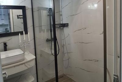 Apartament cu 2 camere, mobilat în Calea Aradului - 12