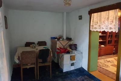 Casă cu 2 camere în Fârliug - 2