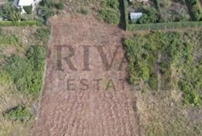 Teren Construcții intravilan de 801 mp, în Torontalului - 6