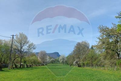 Teren in cea mai turistica localitate din Romania - Breb... - 1
