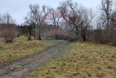 Teren de 2932 mp, în Sârbi (Budești) - 7