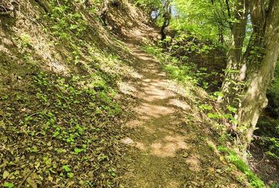 Spațiu comercial, în Schei - 4