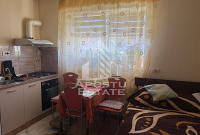 Casă individuală cu 7 camere cu Canalizare în Buziașului - 9