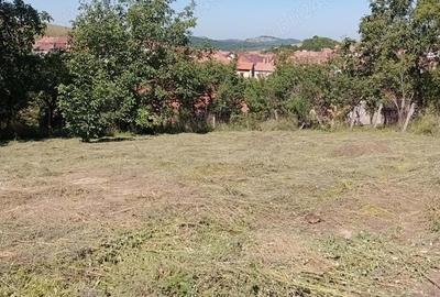 Teren de 479 mp, în Poiana Sibiului - 1