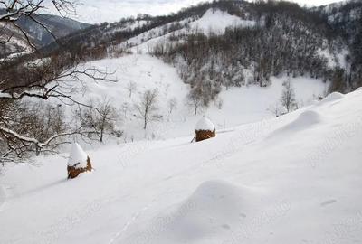 Casă cu 4 camere în Poiana Stampei - 8