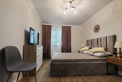 Apartamenet 2 camere de inchiriat Noua - 2