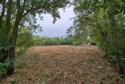 Casă cu 4 camere cu Teren 3682 Mp în Radu Vodă