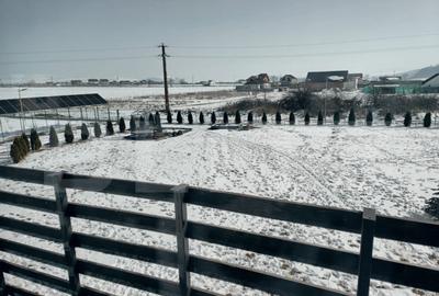 Casa Ta de Vis cu Teren Generos In Com Bod - 6