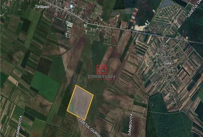 Teren agricol extravilan Tartasesti - Gulia, Dambovita - 2