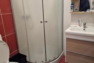 Casă cu 1 camere cu Teren 350 Mp în Dumbrăvița - 6