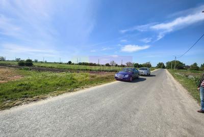 Teren Construcții intravilan de 4770 mp, în Dărăști-Ilfov - 10