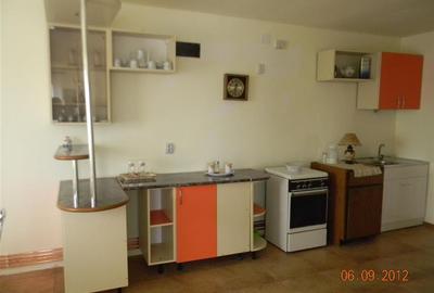 Casă cu 6 camere cu Teren 350 Mp în Vladimirescu - 10