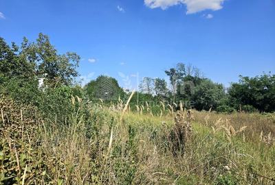 Teren Construcții intravilan de 3500 mp, în Bună Ziua
