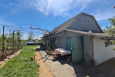 Casă cu 1 camere cu Teren 2676 Mp în Vălcani - 3