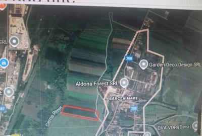 Vand parcela 14400mp teren agricol Barcea Mare - 2