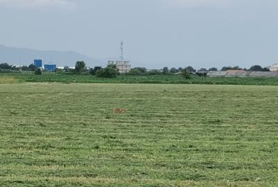 Teren agricol in zona Bod - 1