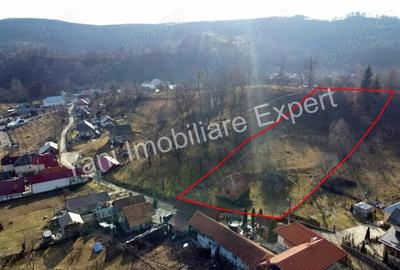 Teren de vanzare in comuna Cicane?ti, sat Cicane?ti, Jude? Arge?. - 5