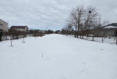 Teren de 1569 mp, în Cornetu - 5