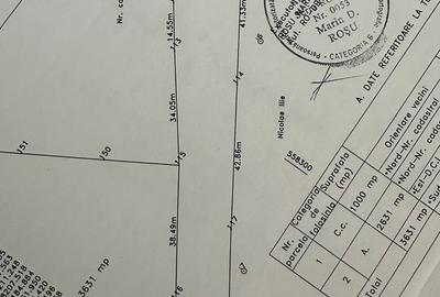 Casă cu 5 camere cu Teren 3631 Mp în Răcari - 1