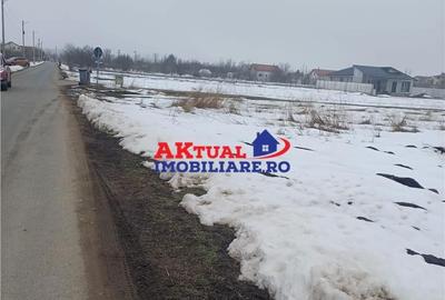 Teren de 8100 mp, în Domnești