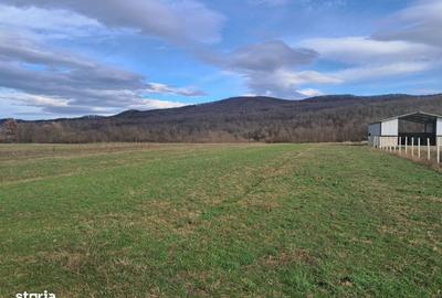 Spațiu comercial, în Central - 15